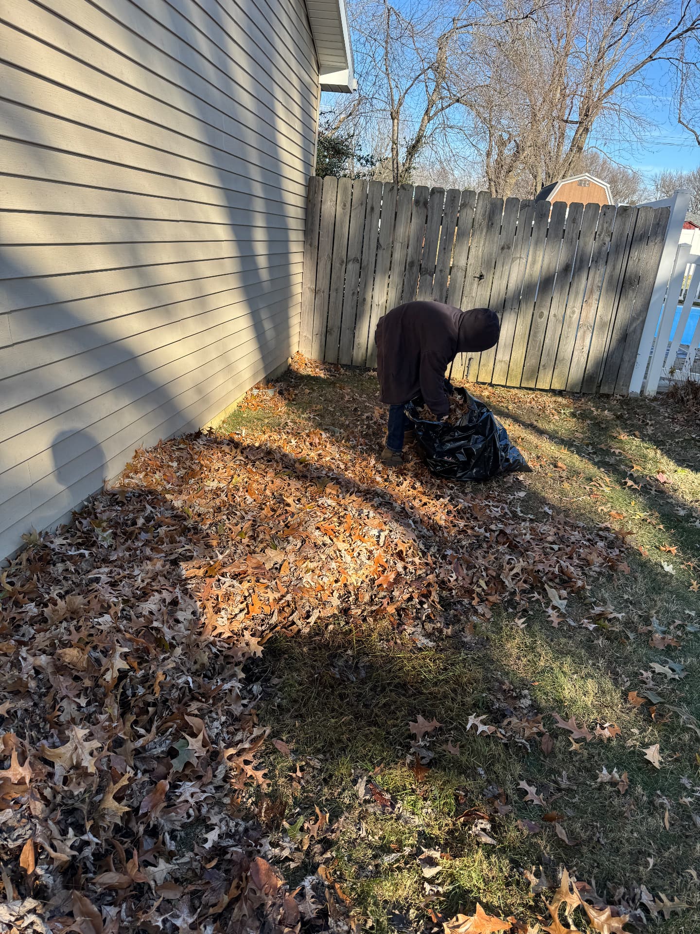 Jase bagging leaves along a fence line in a back yard covered in fallen leaves