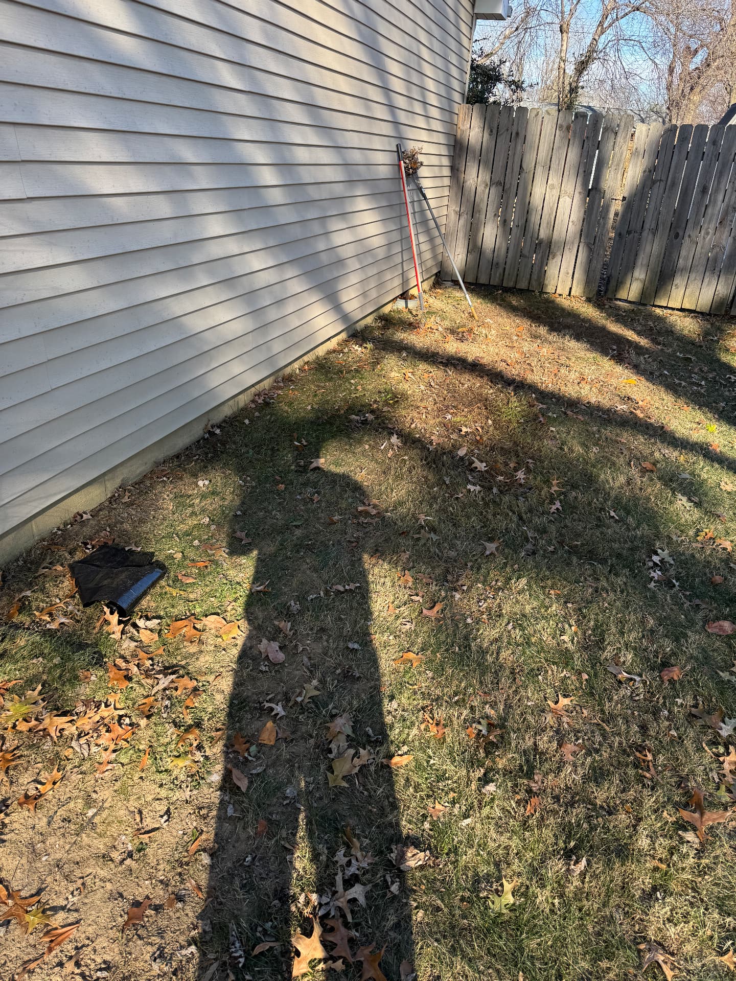 The same back yard corner cleared down to the grass with the rake and bag set aside